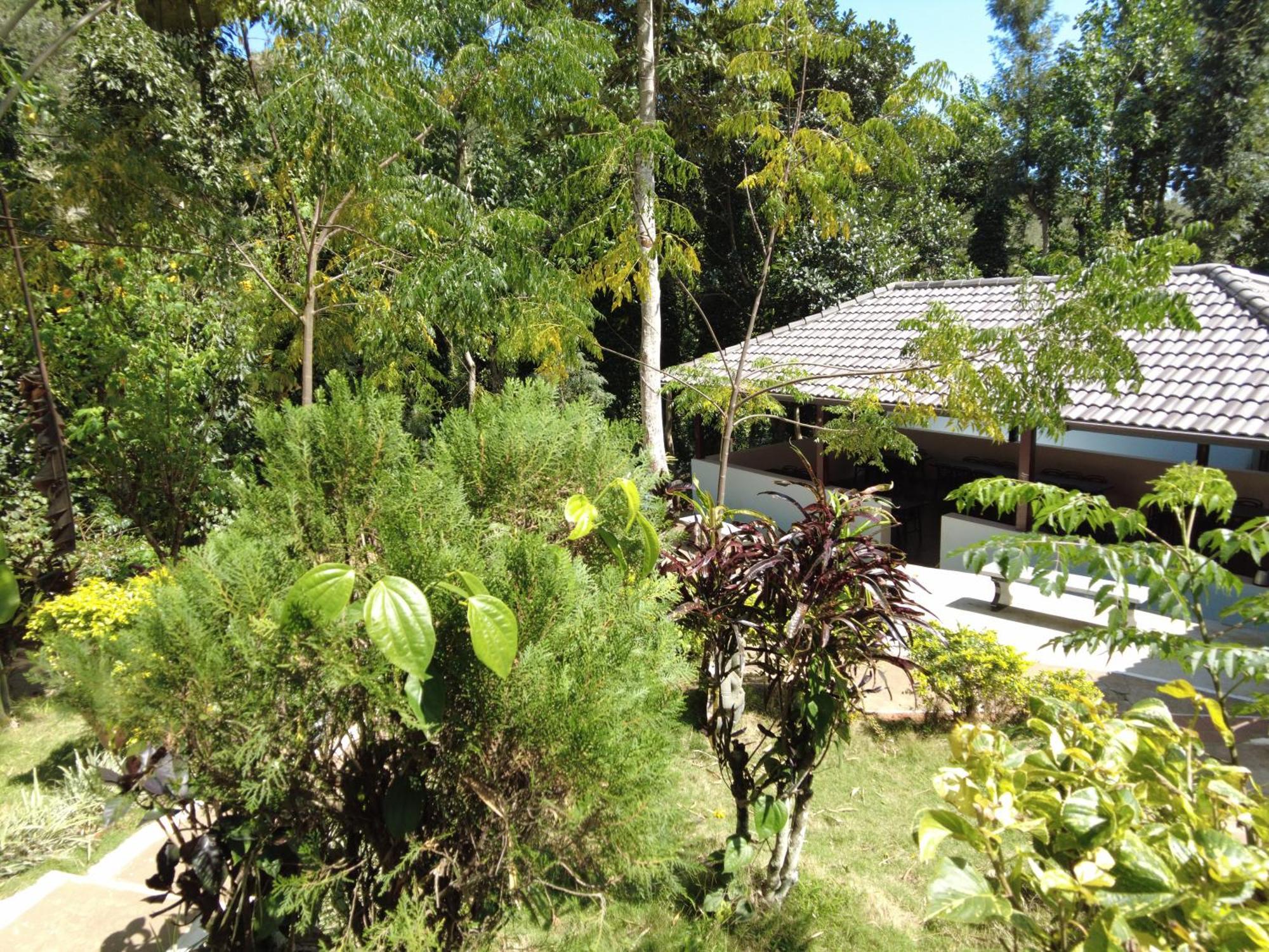 Seattle Garden Resort - Kollihills Kolli Hills Exterior foto